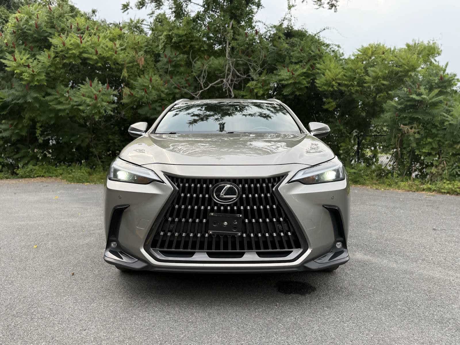 2023 Lexus NX 350 Premium