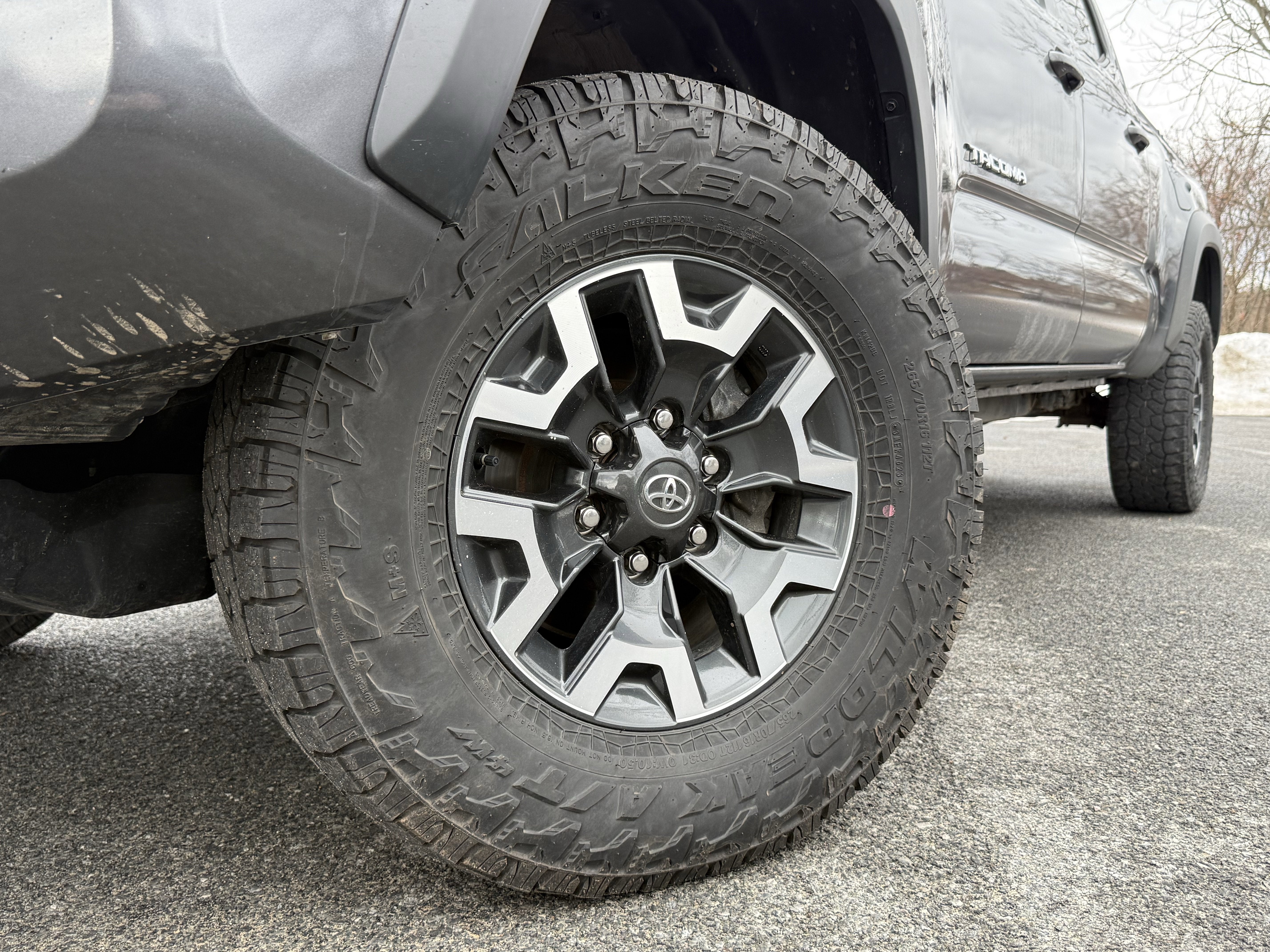 2023 Toyota Tacoma V6