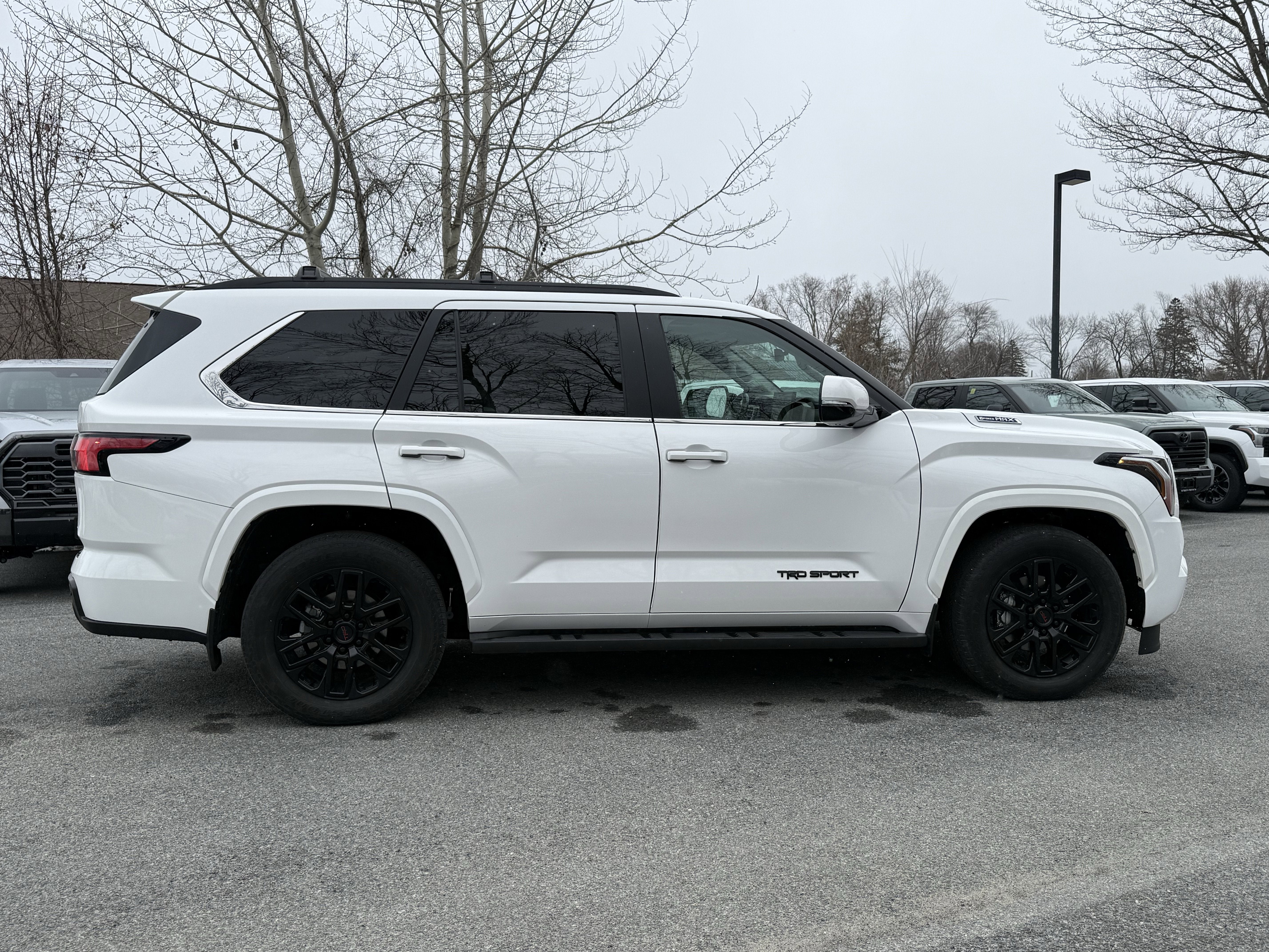 2024 Toyota Sequoia SR5