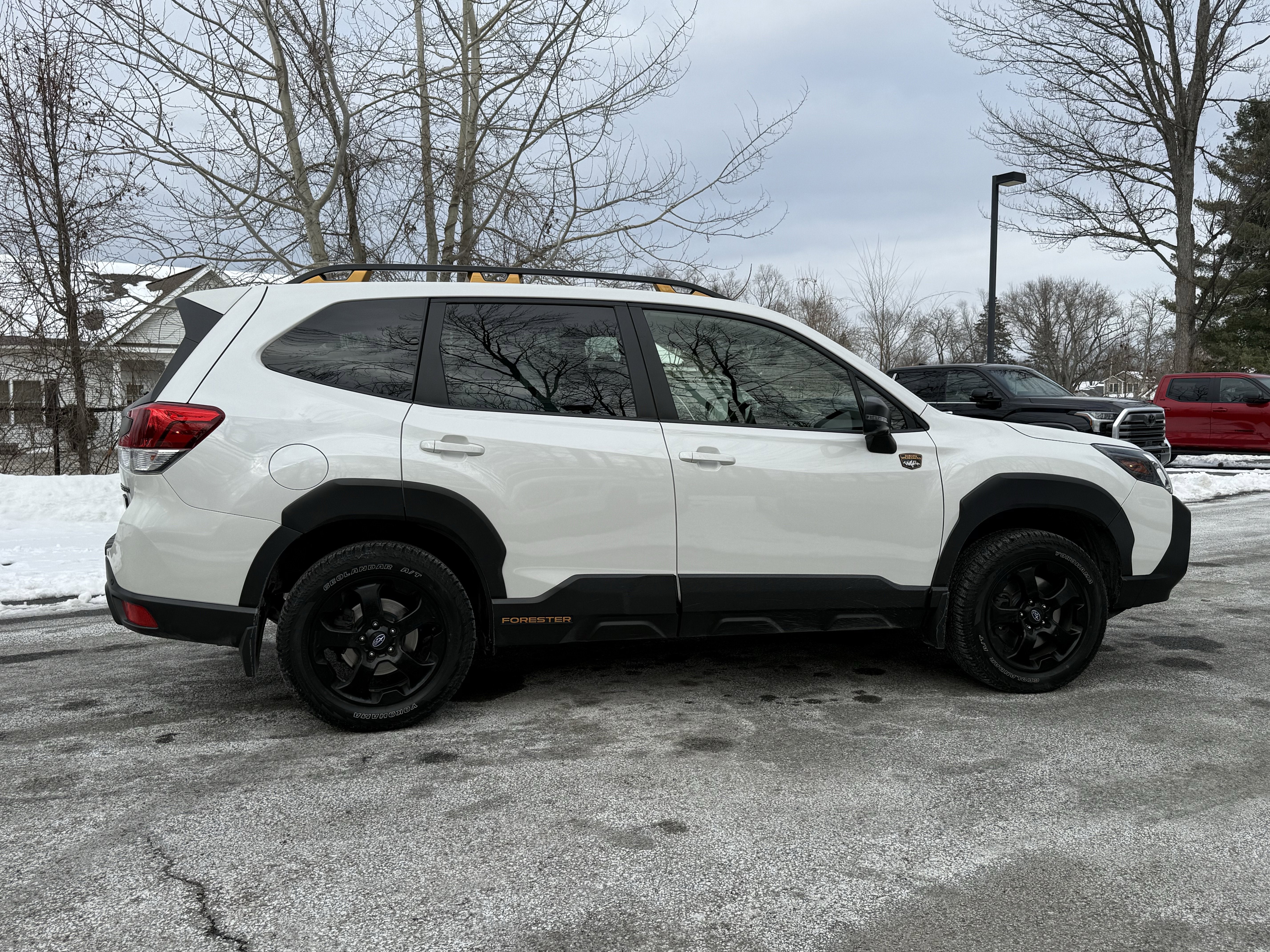 2023 Subaru Forester Wilderness