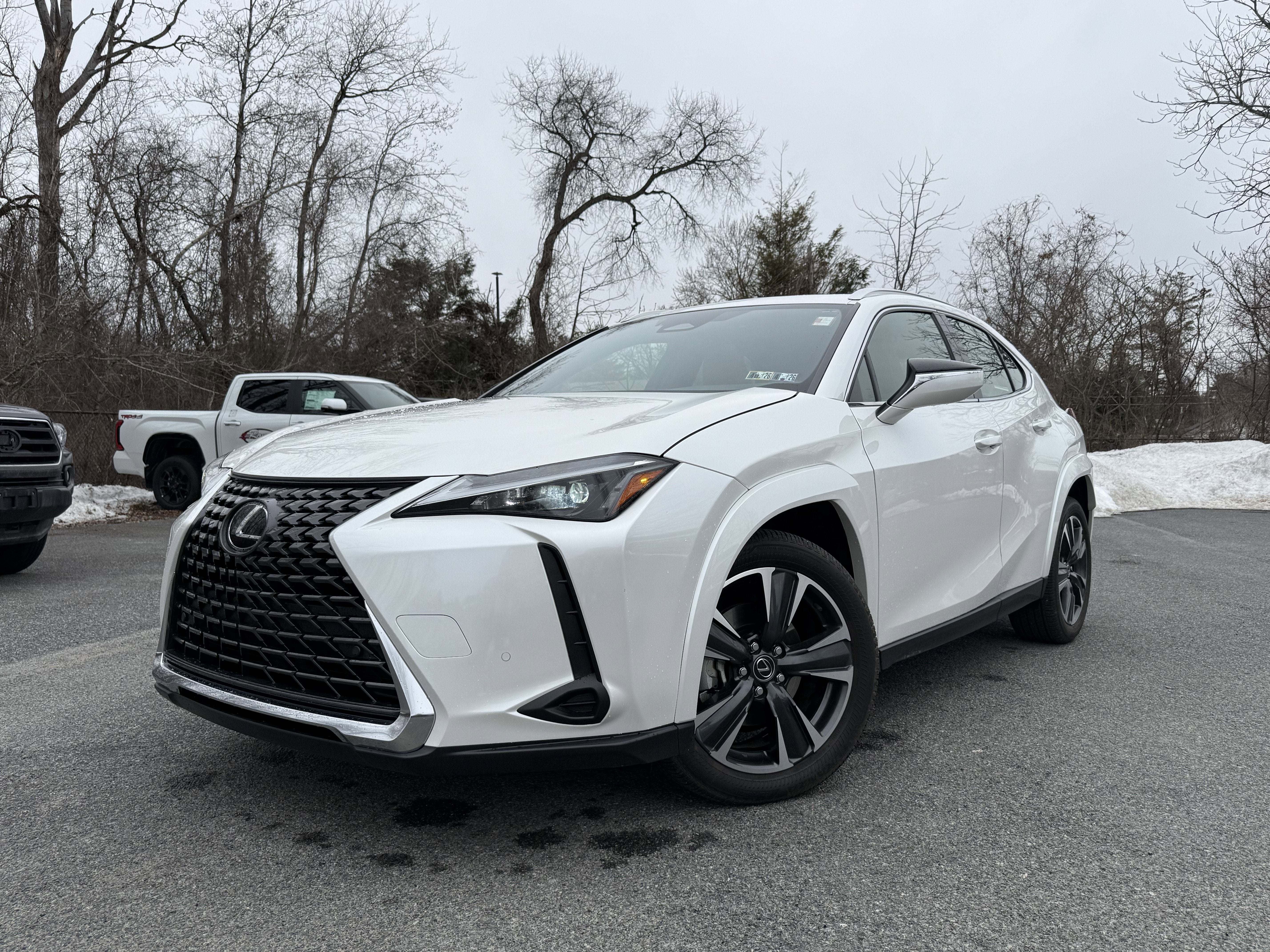 2025 Lexus UX UX 300h