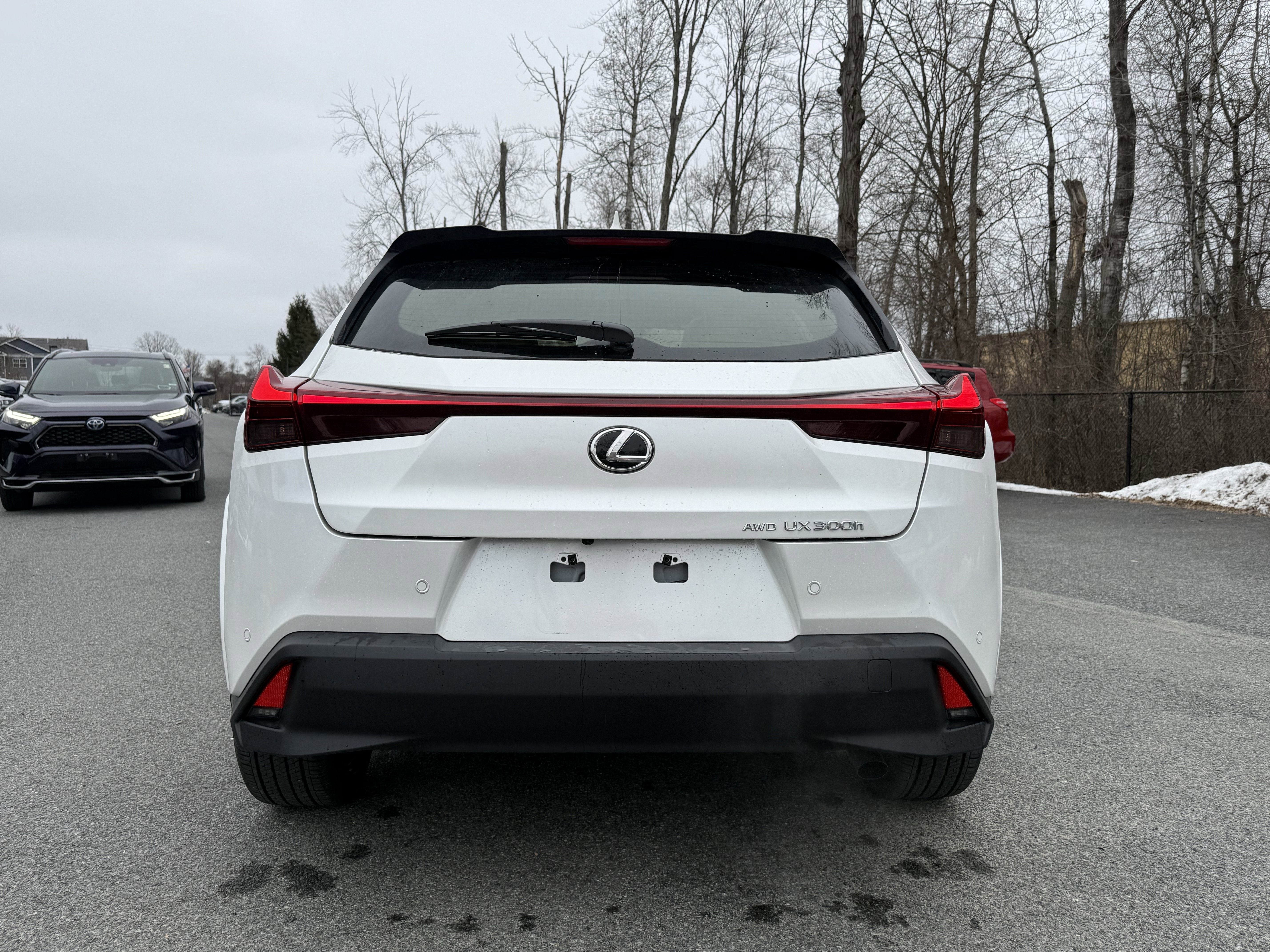 2025 Lexus UX 300h Premium