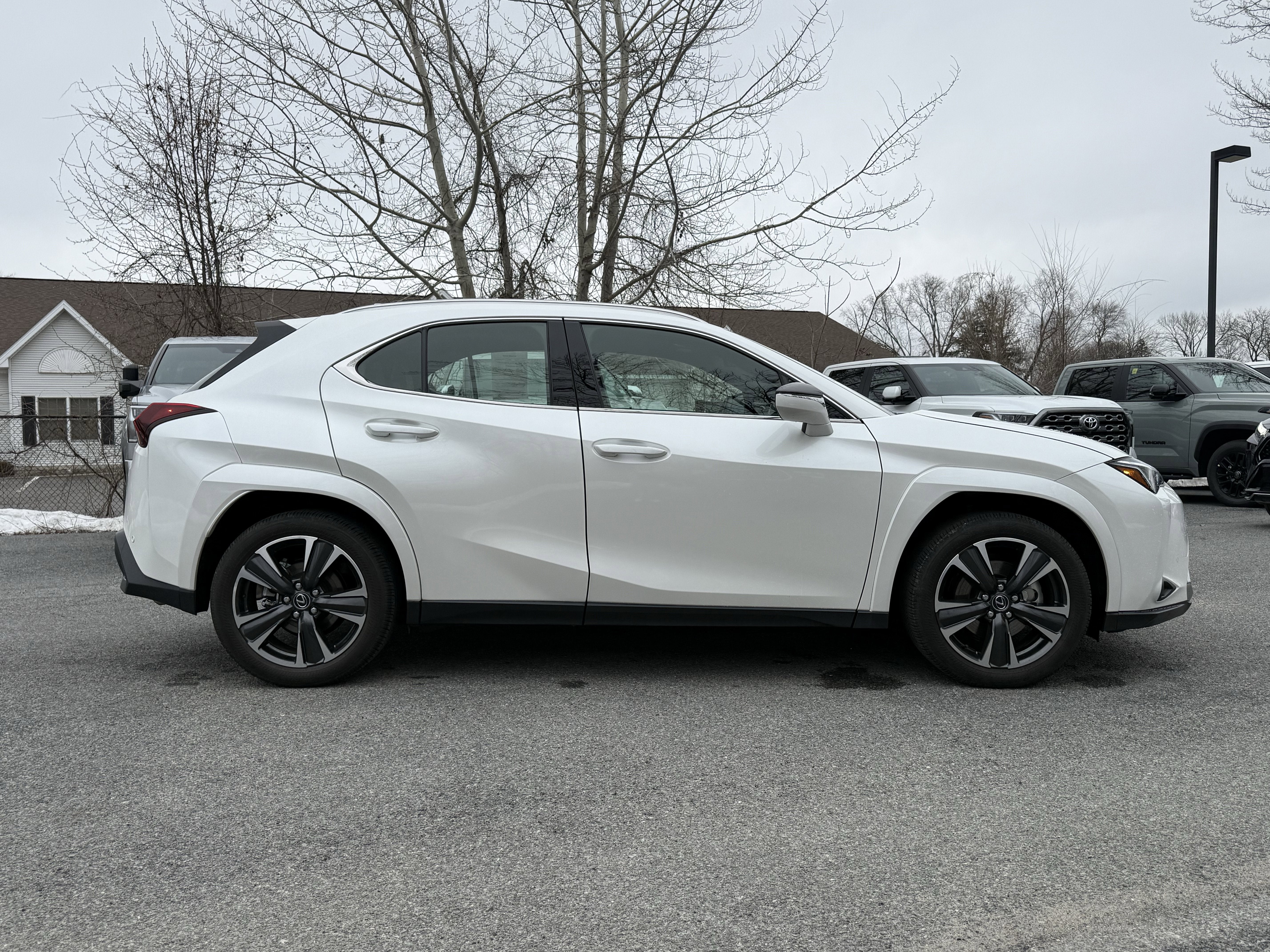 2025 Lexus UX 300h Premium