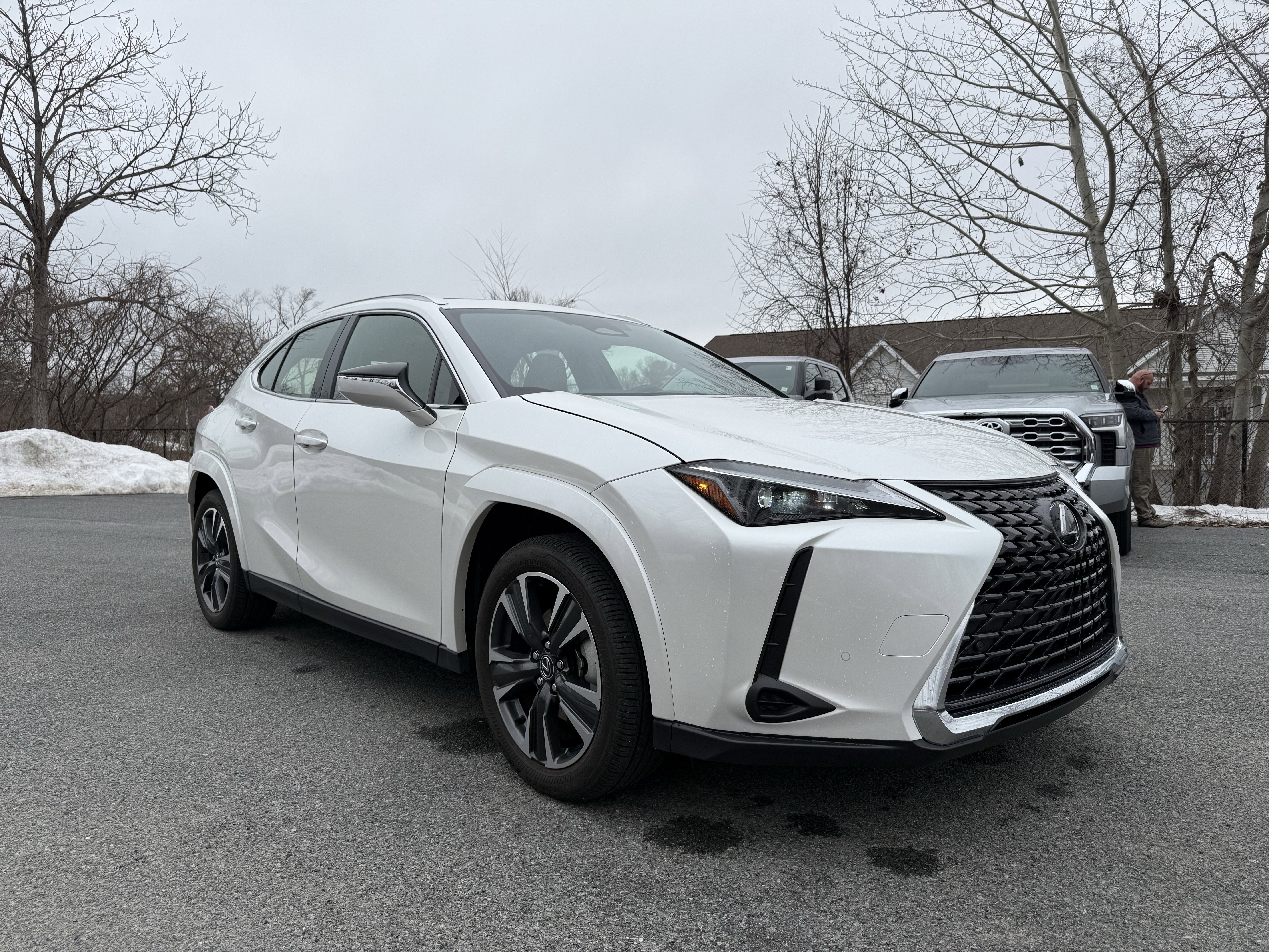 2025 Lexus UX 300h Premium