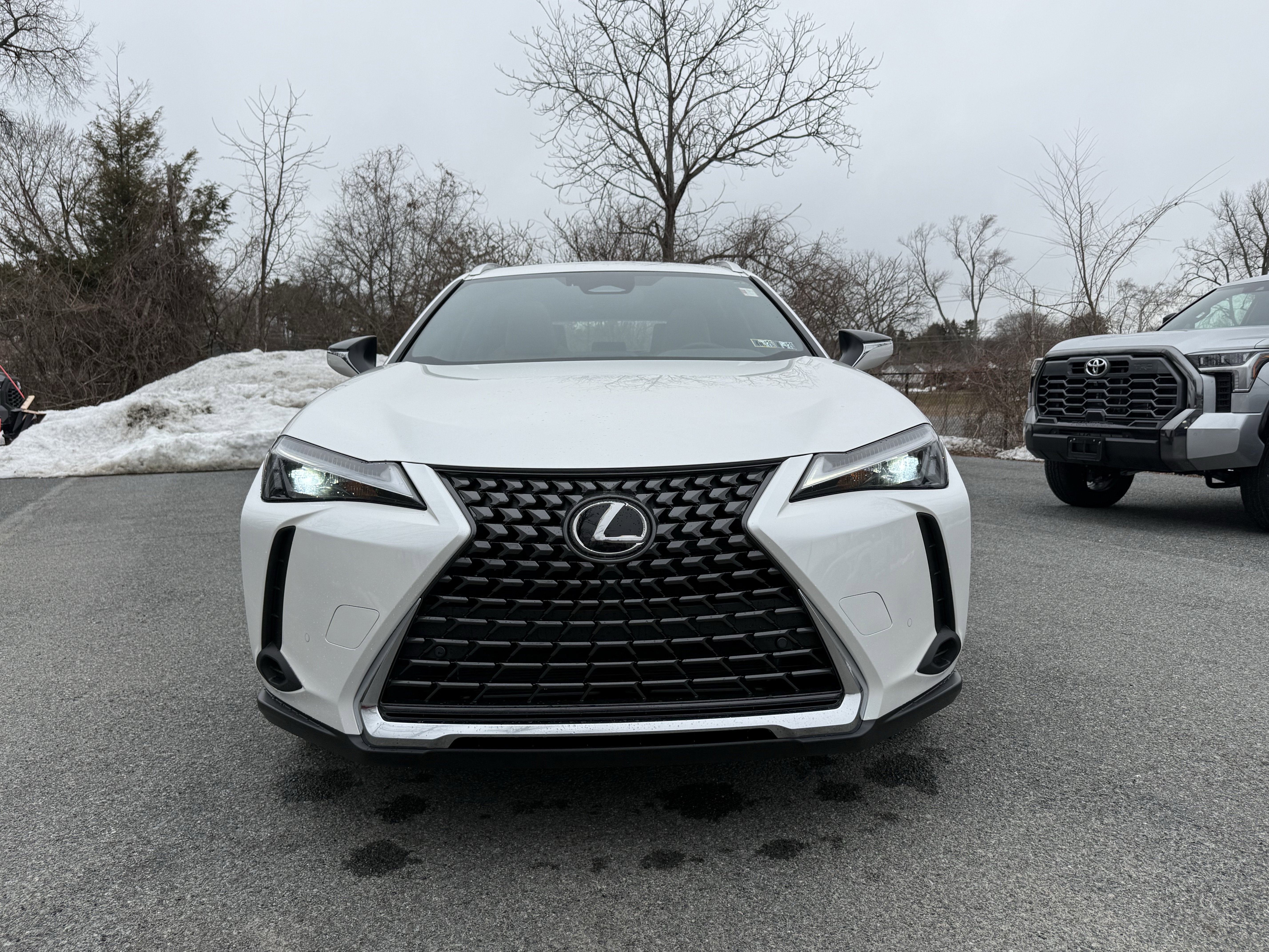 2025 Lexus UX 300h Premium