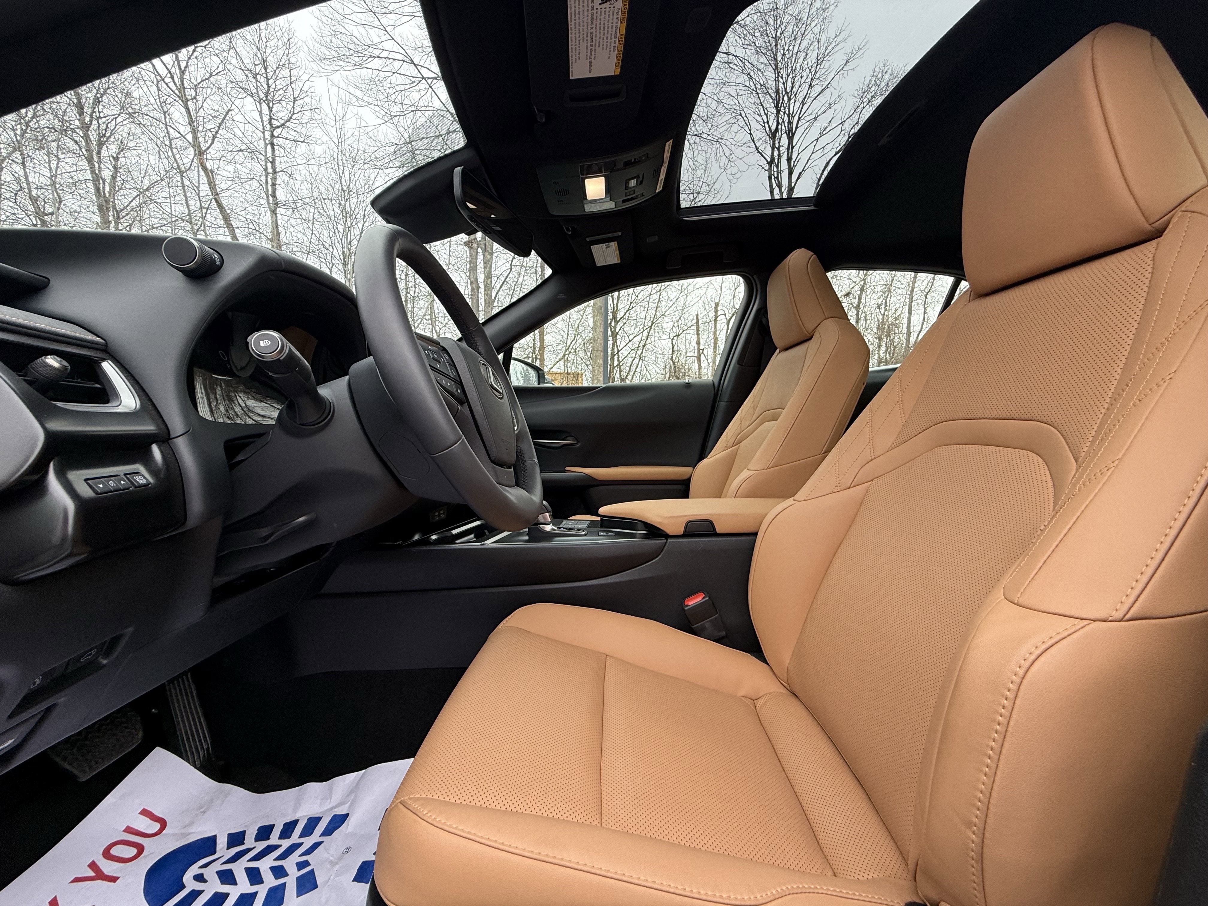 2025 Lexus UX 300h Premium