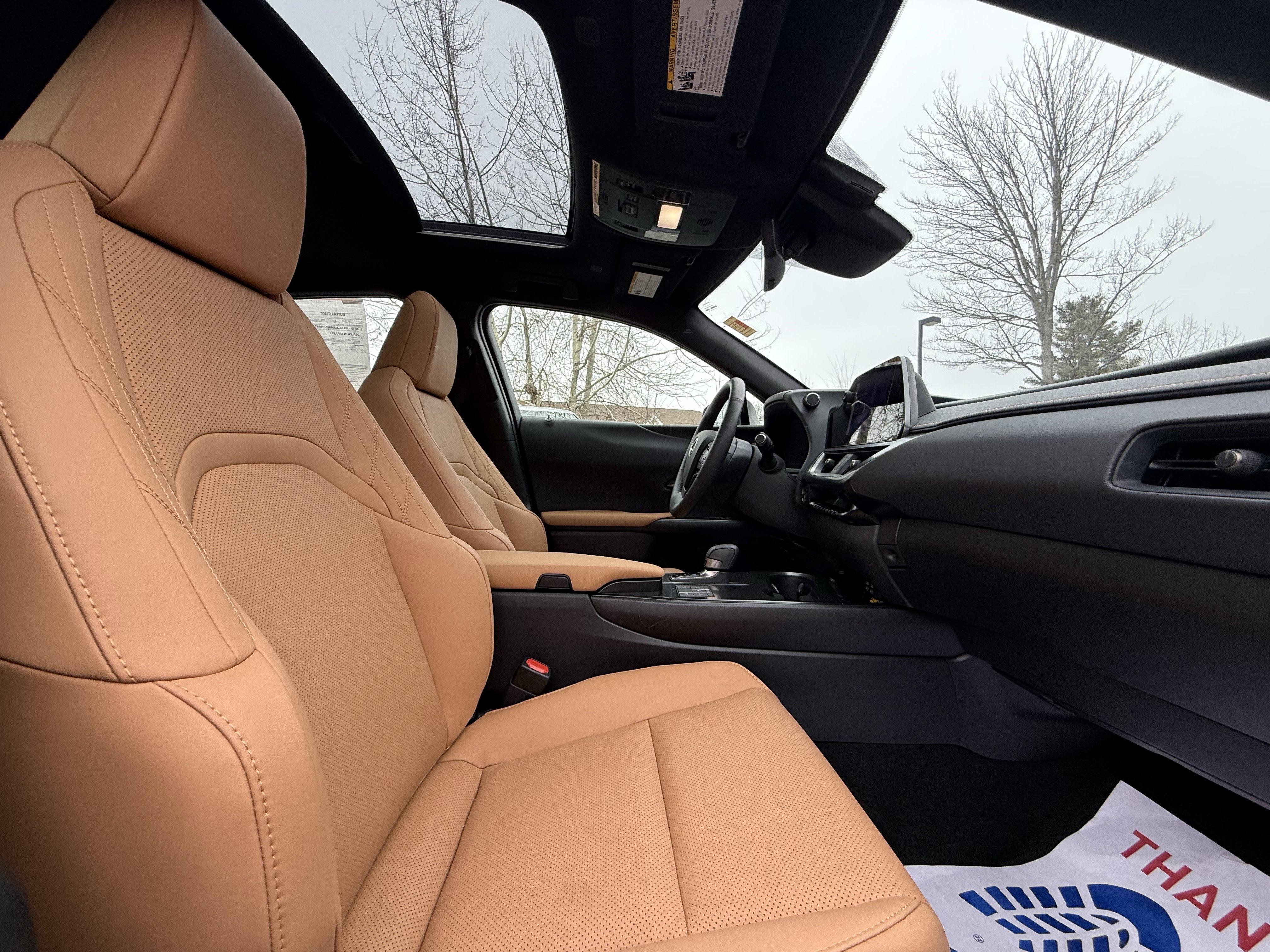 2025 Lexus UX 300h Premium