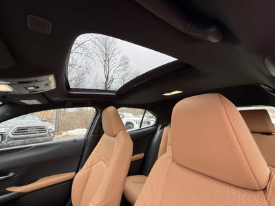 2025 Lexus UX 300h Premium