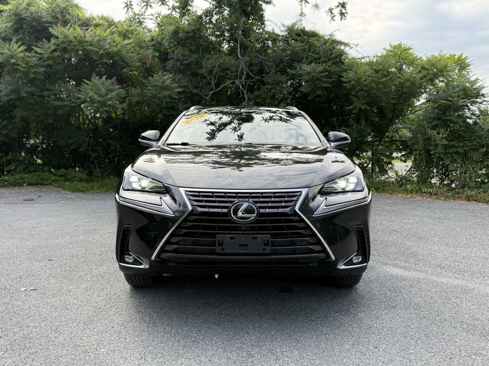 2018 Lexus NX 300 Base