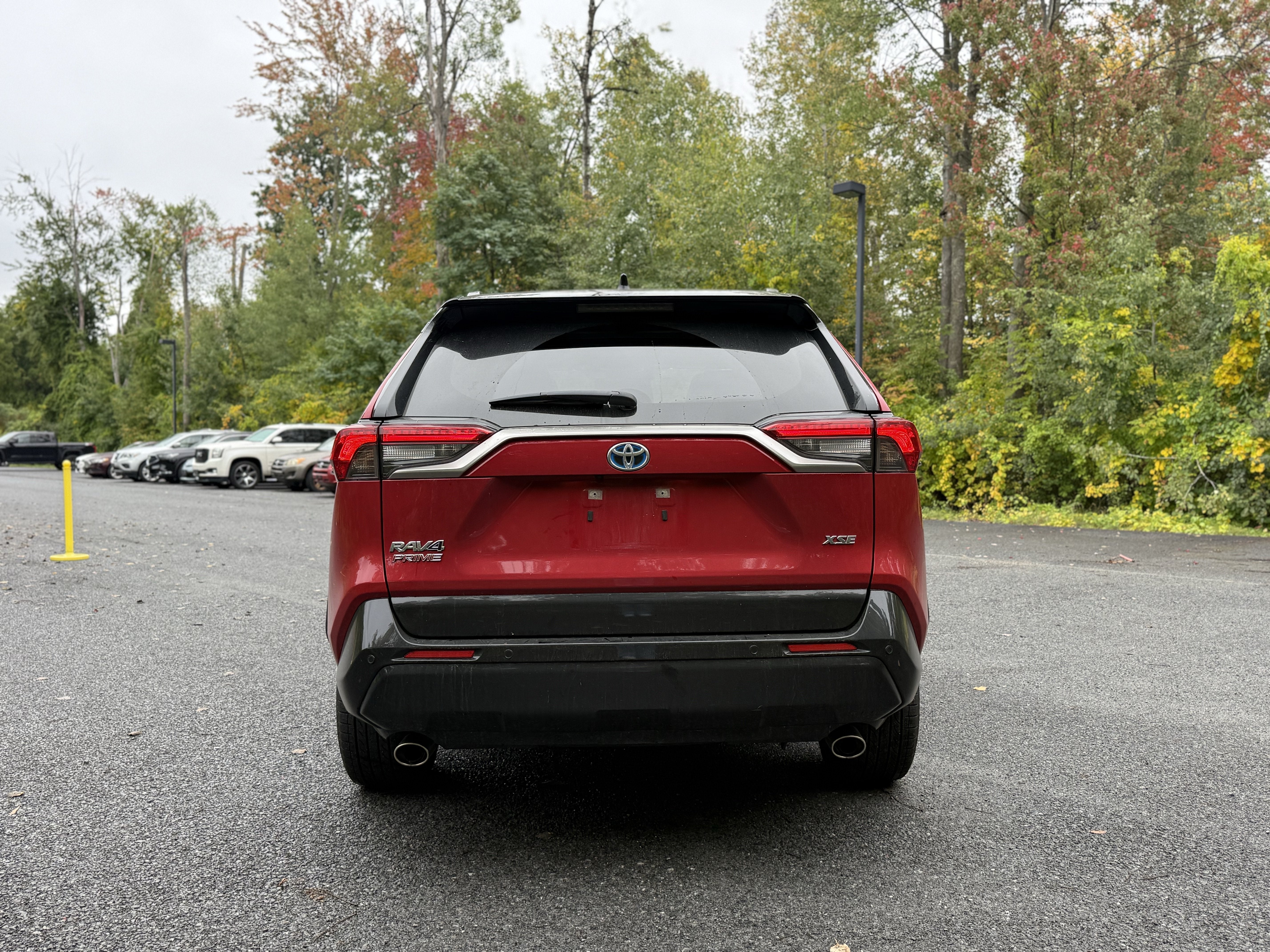 2024 Toyota RAV4 Prime XSE
