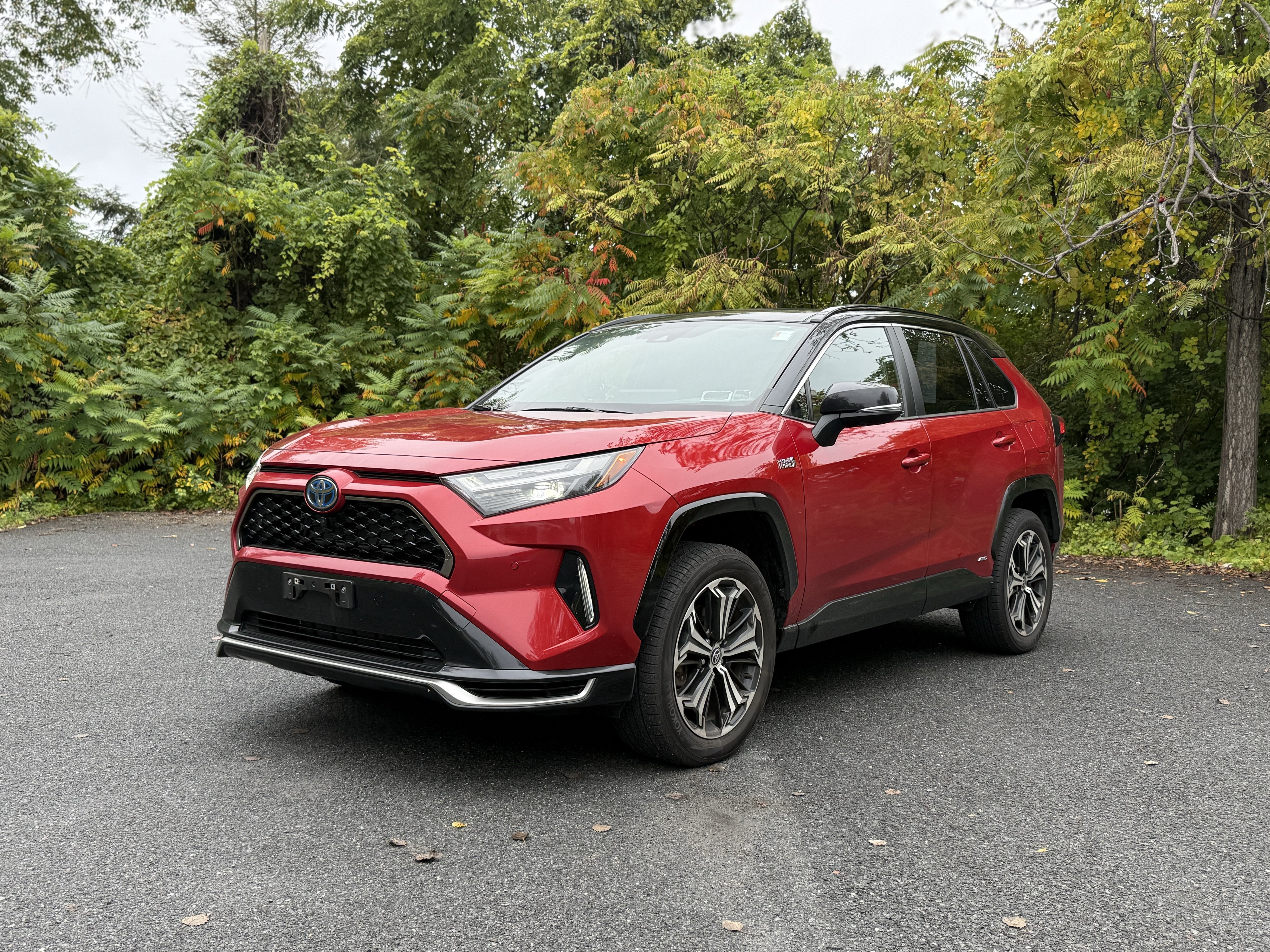 2024 Toyota RAV4 Prime XSE